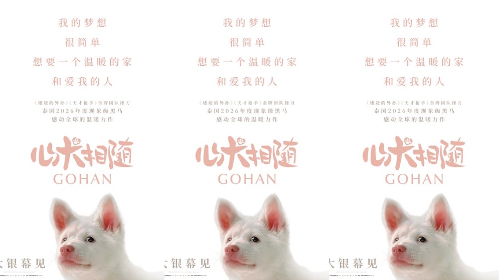泰国年度票冠《心犬相随》引进内地 粉红桃心鼻小白狗萌翻大银幕