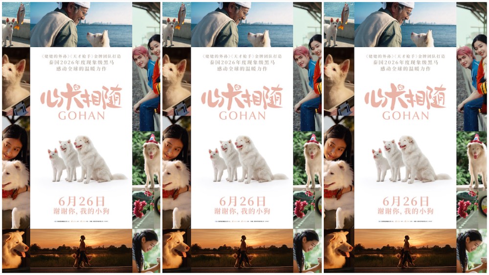 泰国票房爆款电影《心犬相随》定档6月26日 温暖治愈感动全球