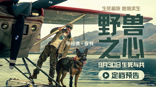 布拉德·皮特新片《野兽之心》定档9月30日 荒野之中尽显人犬羁绊