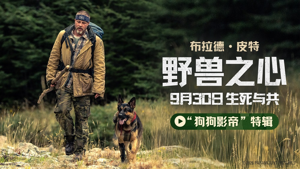 布拉德·皮特新片《野兽之心》发布“狗狗影帝”特辑 电影头号演员竟是它