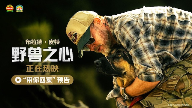 布拉德·皮特新片《野兽之心》今日上映 人犬情深奋力寻找回家之路