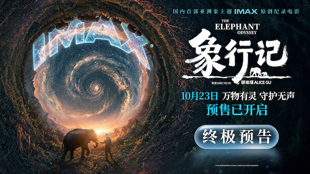 群象南归、阿宝回家！纪录电影《象行记》预售开启两大亚洲象真实事件首登大银幕