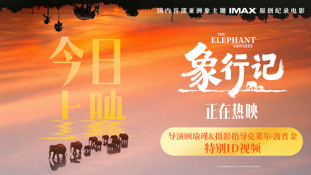纪录电影《象行记》今日上映，奔赴雨林聆听生命回响   